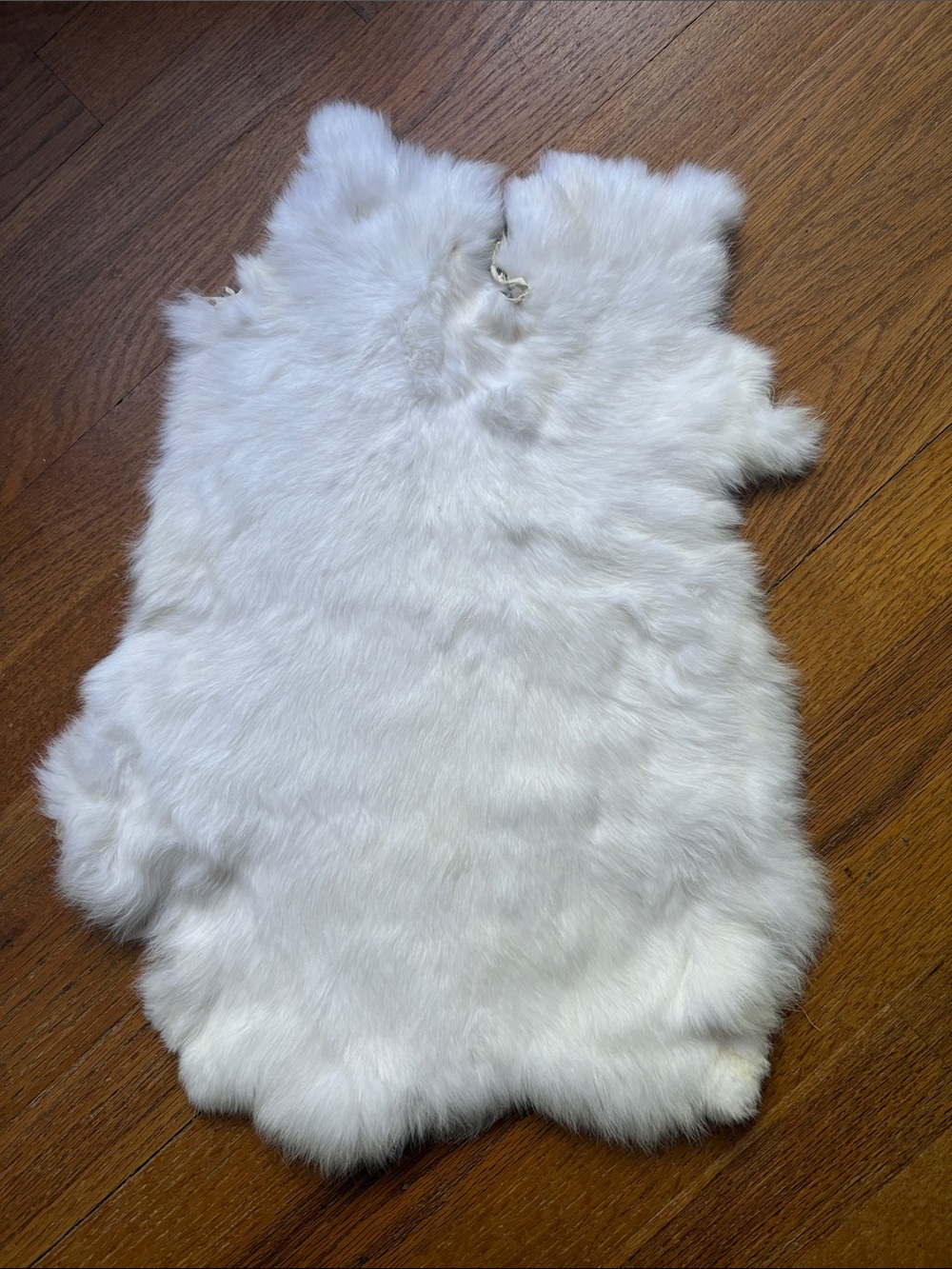 0852 rabbit pelt